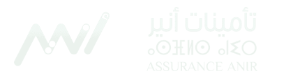 Assurance anir logo